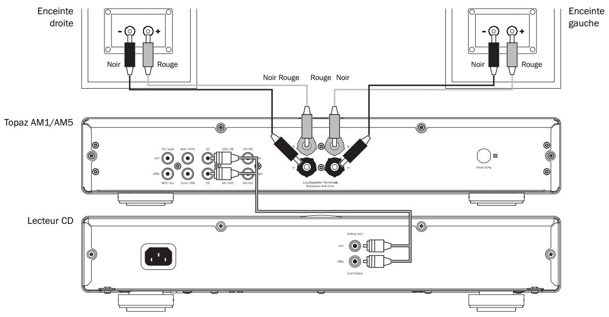 CAMBRIDGE AUDIO TOPAZ AM5 - Utilisation des raccordements de fils nus - 2