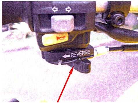 ADLY 50 RS LIQUIDE - MARCHE ARRIERE - 2