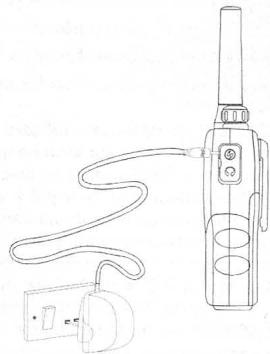 BRONDI FX DYNAMIC - Important - 2