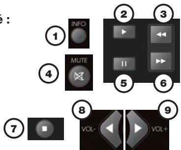 VISIONIC SLIM 6 HD - Fonctions de la télécommande pendant le différé : - 1