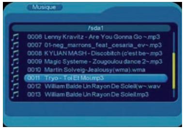 VISIONIC VNT 400 - Dans ce menu, seuls les fichiers audio compatibles avec le récepteur seront affichés. - 1