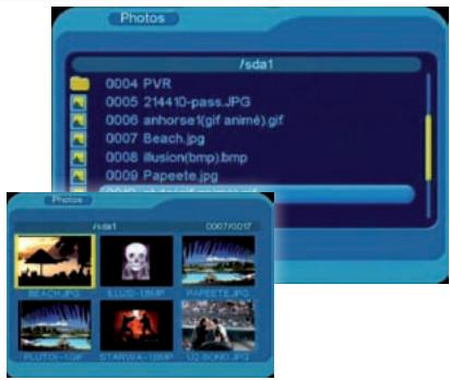 VISIONIC VNT 400 - Dans ce menu, seuls les fichiers audio compatibles avec le récepteur seront affichés. - 1