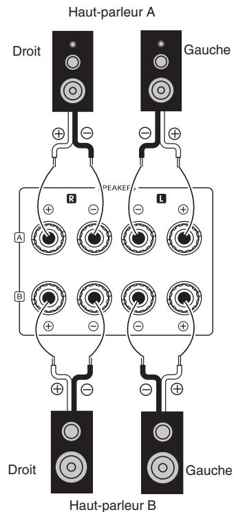SHERWOOD RX-4109 - Raccordement des haut-parleurs - 1