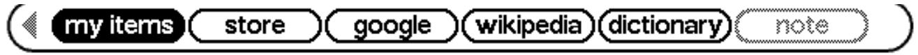 AMAZON KINDLE DX - Utilisation de Basic Web - 1