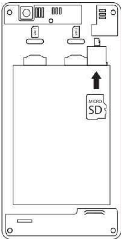 ECHO MAX - Instalación de la tarjeta de memoria - 1