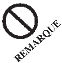 ECHO SRM-260S - SYMBOLES DE SECURITE ET INFORMATIONS IMPORTANTES - 4