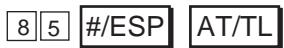 TEC MA-1350 2 - Format du ticket du changement des 2e prix pour les A.P.: - 3