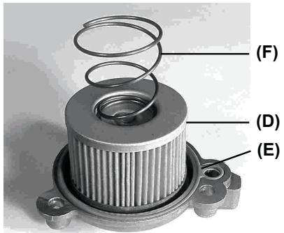 GAS GAS HALLEY 450 - Avertissement - 3