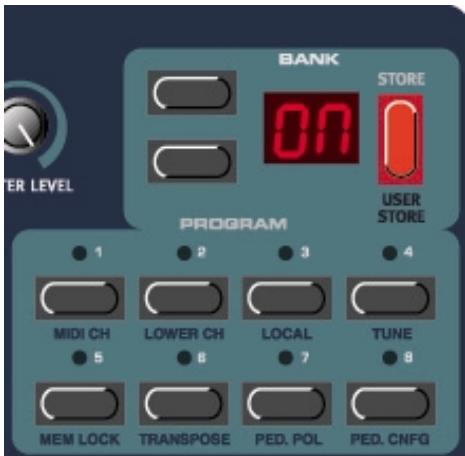 CLAVIA NORD ELECTRO - Local - 1