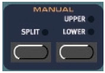 CLAVIA NORD ELECTRO - Manuel - 1