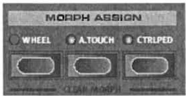 CLAVIA NORD STAGE EX - ASSIGN - 1