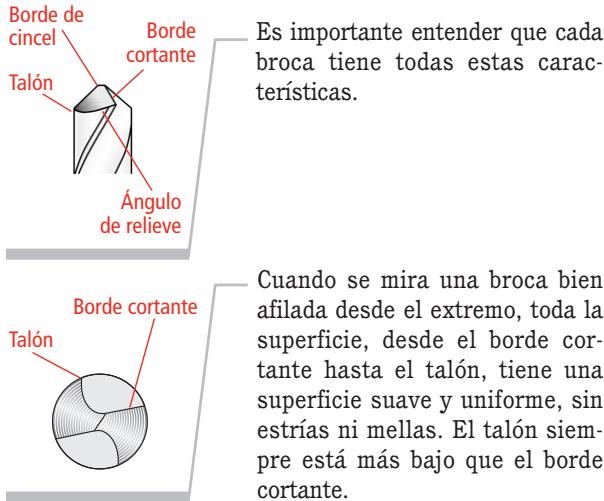 DRILL DOCTOR XP - Partes de una brochure - 1