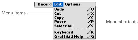 PALM ONE - Using the Command stroke - 2