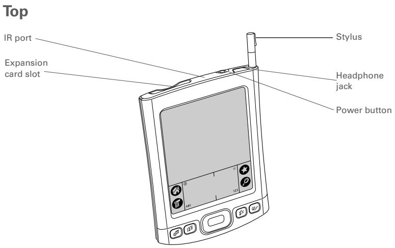 PALM ONE - Did You Know? - 1