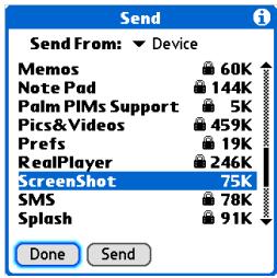 PALM ONE - 1 - 1