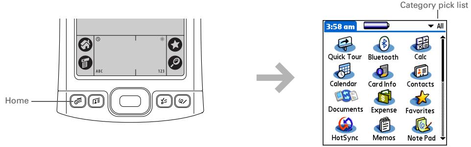 PALM ONE - Using Applications - 1