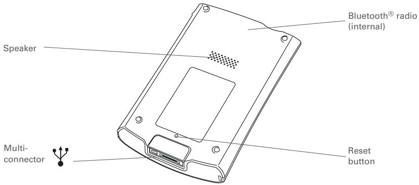 PALM ONE - Back - 1