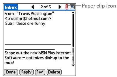 PALM ONE - 3 - 1