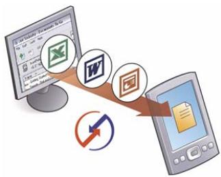 PALM ONE - Did You Know? - 1