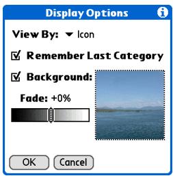 PALM ONE - Open the Display Options dialog box: - 1
