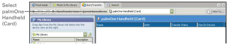 PALM ONE - 2 - 1