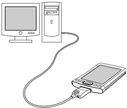 PALM ONE - WINDOWS ONLY - 1