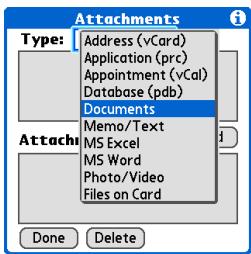 PALM ONE - Attach the file: - 1