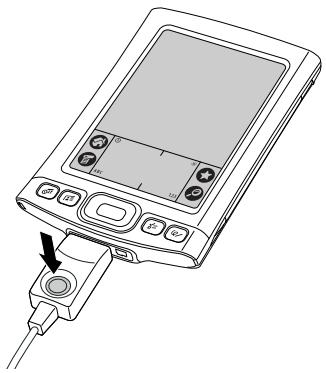 PALM ONE - 2 - 1