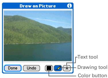 PALM ONE - Personalizing a photo - 1
