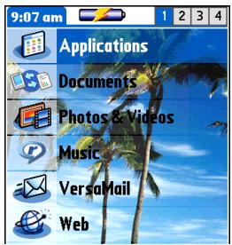PALM ONE - Moving around in Favorites View - 2