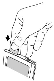 PALM ONE - 1 - 1