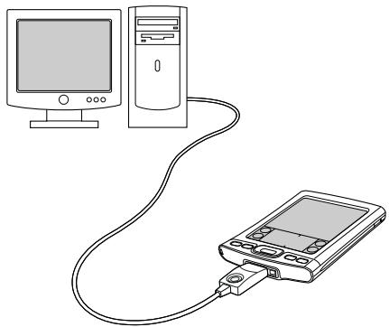 PALM ONE - Step 4: Connecting your handheld to your computer - 2