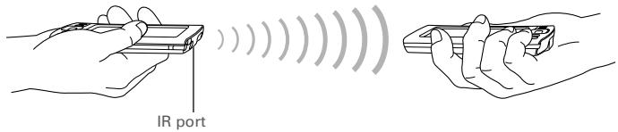 PALM ONE - 2 - 1