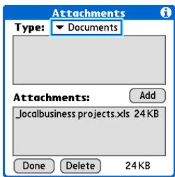 PALM ONE - Attach the file: - 3