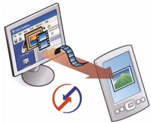 PALM ONE - Did You Know? - 2