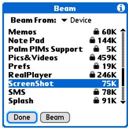 PALM ONE - 1 - 1