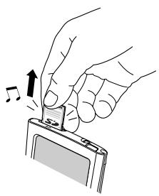 PALM ONE - 1 - 2