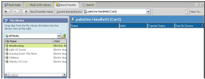 PALM ONE - 4 - 1