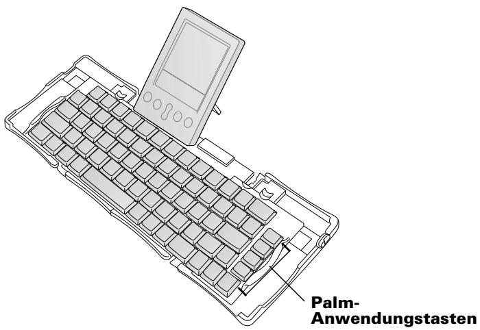 PALM PORTABLE KEYBOARD - Einführung in die Verwendung der faltbaren Tastatur von Palm™ - 1