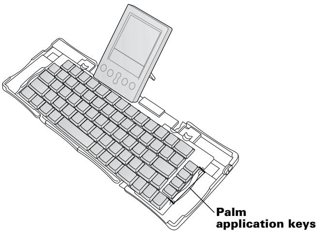 PALM PORTABLE KEYBOARD - Introducing the Palm™ Portable Keyboard - 1