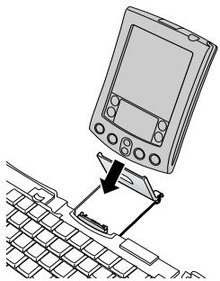 PALM PORTABLE KEYBOARD - So schreiben Sie den Handheld an: - 1