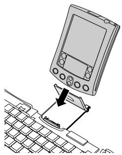 PALM PORTABLE KEYBOARD - 洪洪 田原上林 - 1