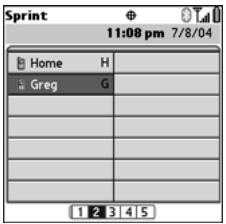 PALM TREO - Defining Your Business Card - 1