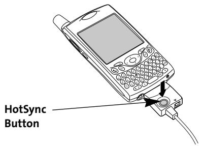 PALM TREO - Synchronizing Contacts and Other Information - 7