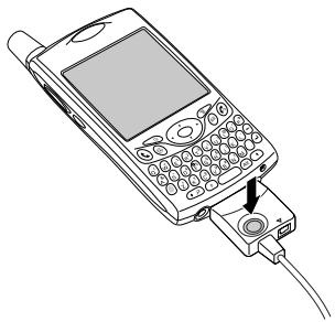 PALM TREO - Installing the Synchronization Software on Your Computer - 1