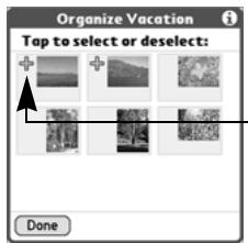 PALM TREO - Arranging Albums - 1