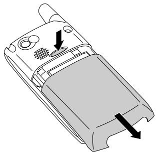 PALM TREO - Soft Reset - 1