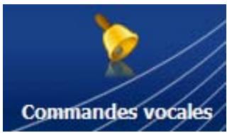 DANEW DESTINATOR V8 - Commandes vocales - 2