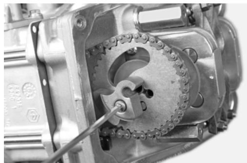 MALAGUTI 500 CC 4T - EURO 3 - Equipement spécifique 020565Y - 3