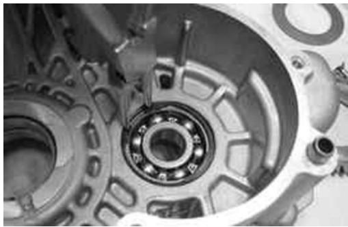 MALAGUTI 500 CC 4T - EURO 3 - Equipement spécifique - 1